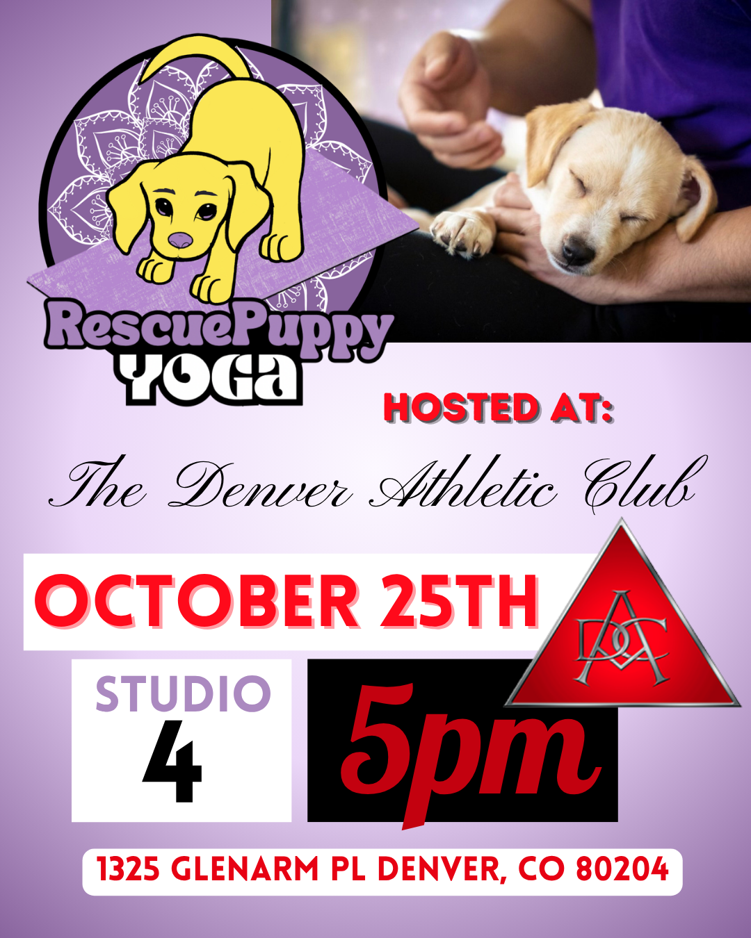Rescue Puppy Yoga - The Denver Athletic Club