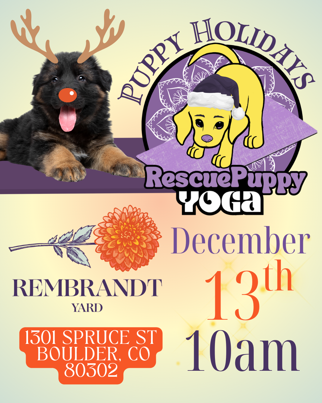 Rescue Puppy Yoga - Rembrandt Yard Boulder