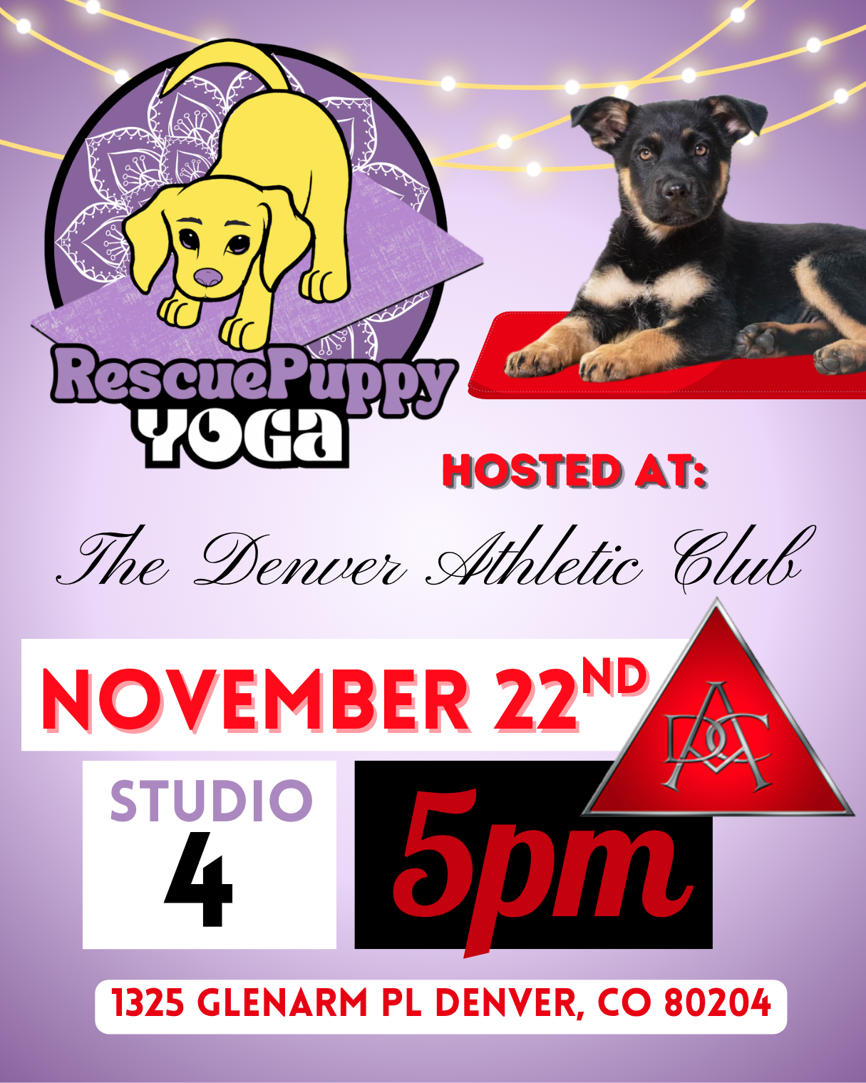 Rescue Puppy Yoga - The Denver Athletic Club