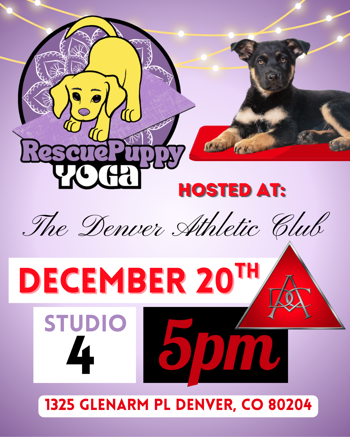 Rescue Puppy Yoga - The Denver Athletic Club