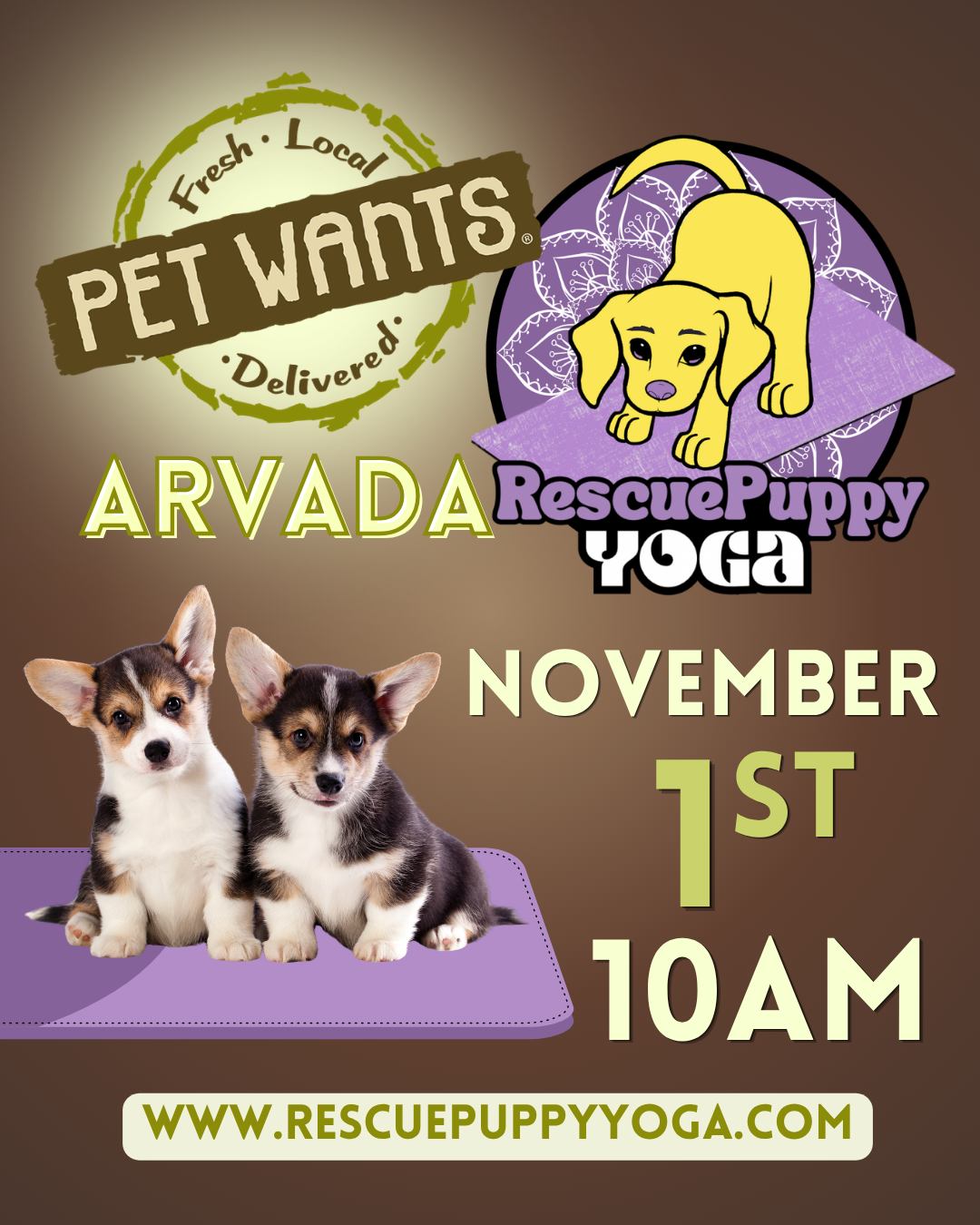Rescue Puppy Yoga - Pet Wants Arvada