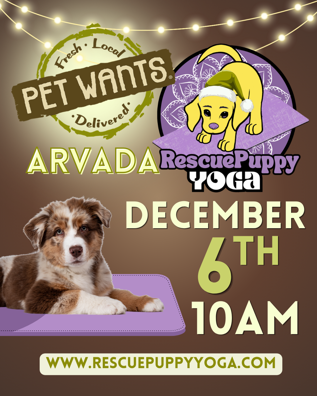 Rescue Puppy Yoga - Pet Wants Arvada