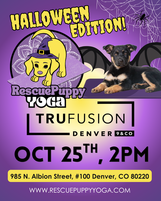 Rescue Puppy Yoga - Trufusion 9th & Colorado