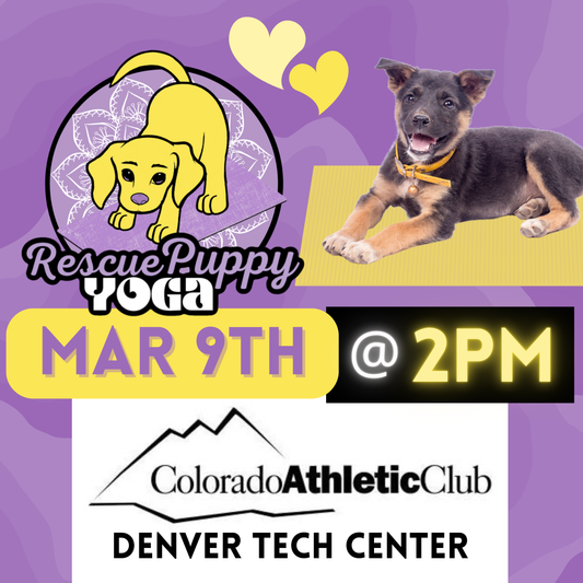 Rescue Puppy Yoga - Colorado Athletic Club Denver Tech Center