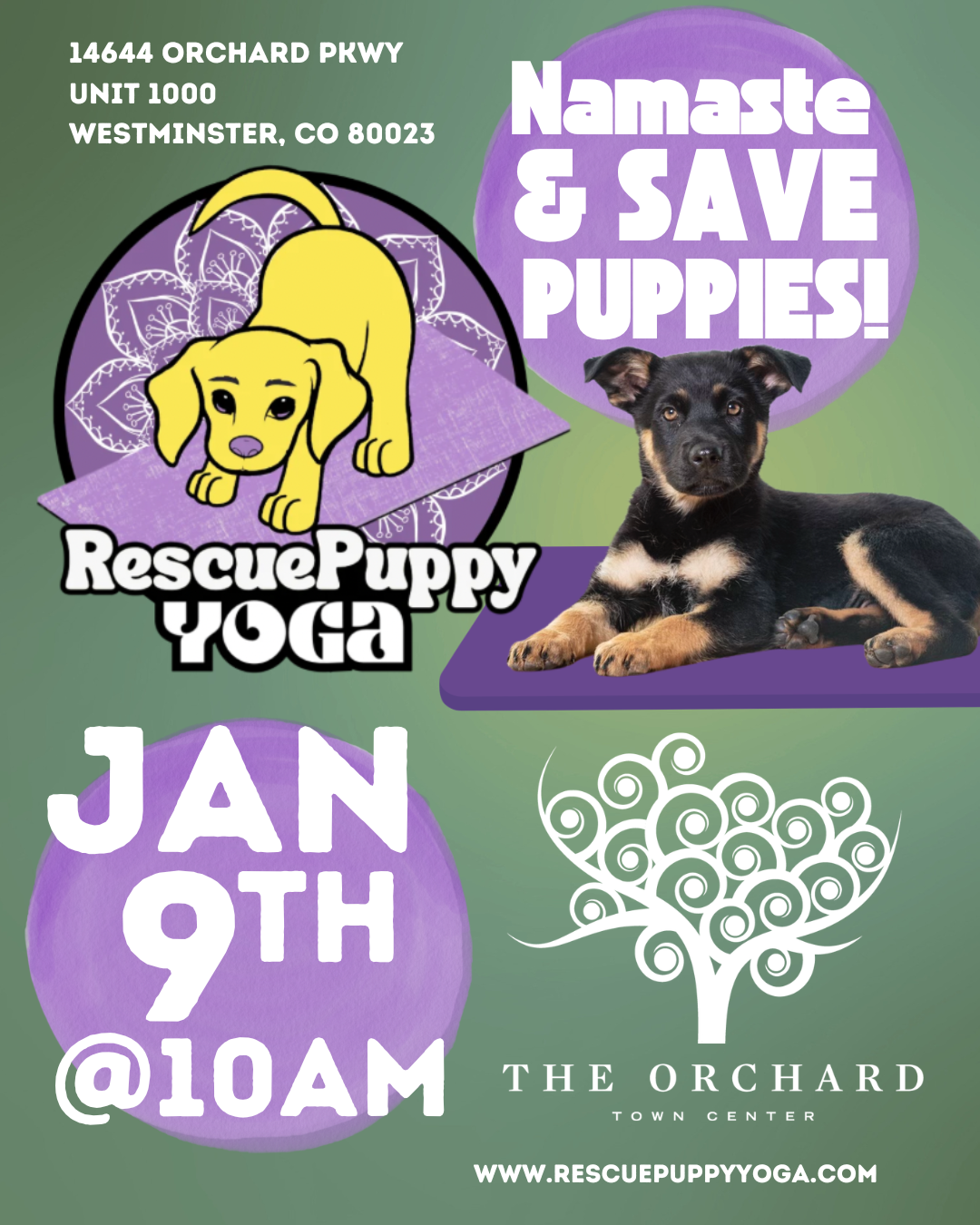 Rescue Puppy Yoga - The Orchard Town Center