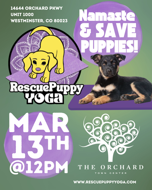Rescue Puppy Yoga - The Orchard Town Center