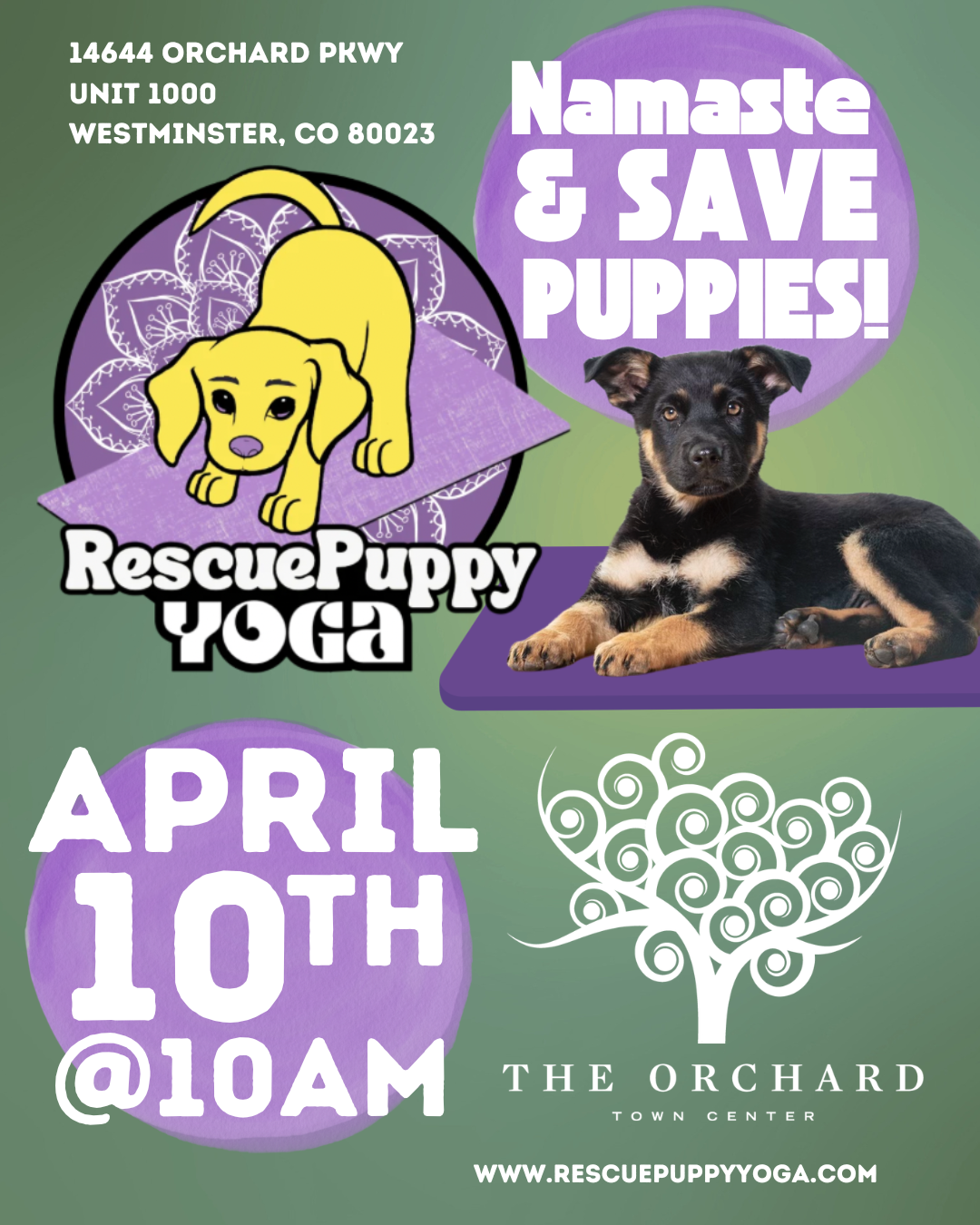 Rescue Puppy Yoga - The Orchard Town Center