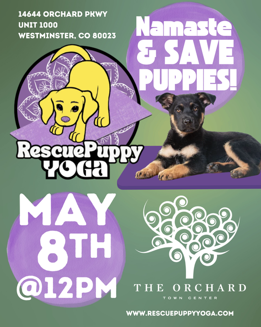 Rescue Puppy Yoga - The Orchard Town Center
