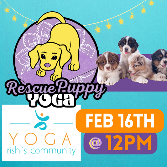 Rescue Puppy Yoga - Rishi’s Community Yoga 12pm