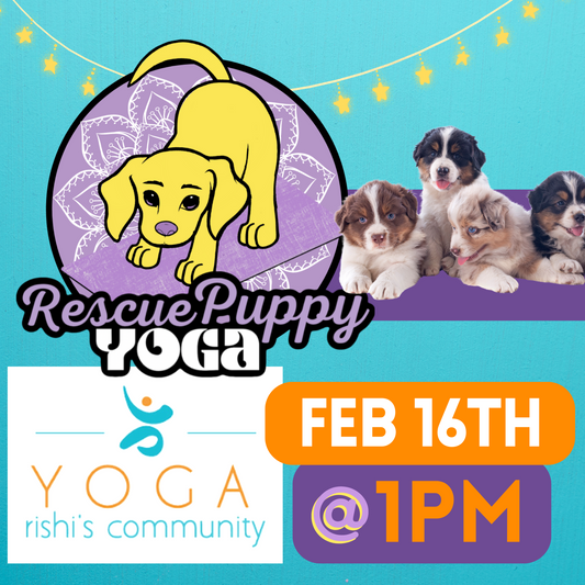 Rescue Puppy Yoga - Rishi’s Community Yoga 1pm