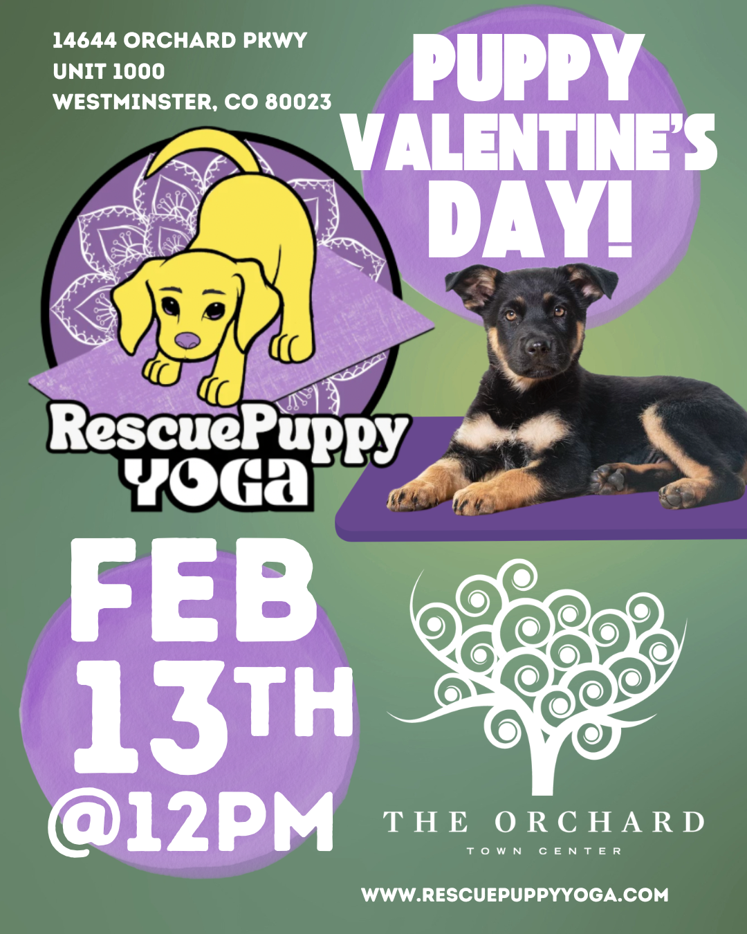 Rescue Puppy Yoga - The Orchard Town Center
