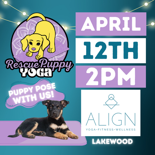 Rescue Puppy Yoga - Align Lakewood