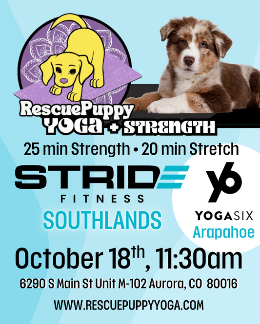 Rescue Puppy Strength & Stretch @ STRIDE Southlands with YogaSix Arapahoe