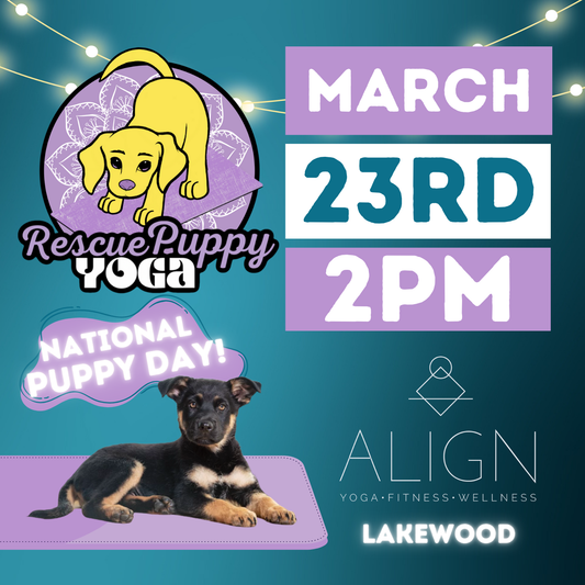 Rescue Puppy Yoga - Align Lakewood