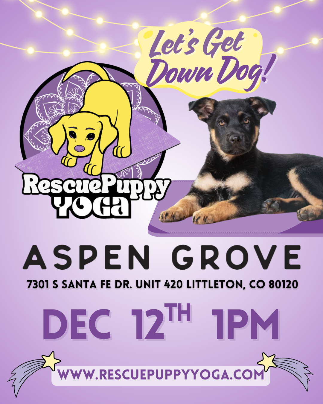 Rescue Puppy Yoga - Aspen Grove Littleton
