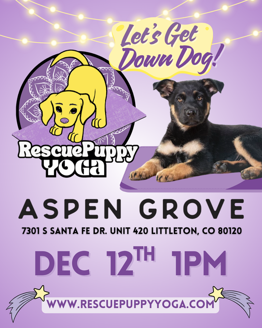 Rescue Puppy Yoga - Aspen Grove Littleton