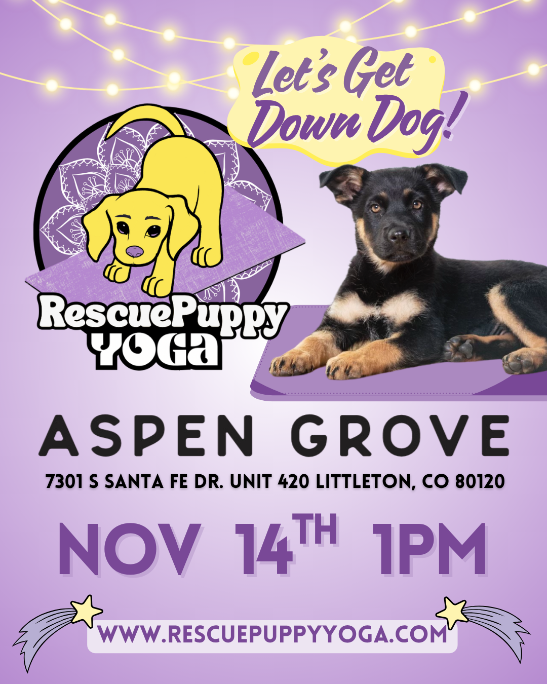 Rescue Puppy Yoga - Aspen Grove Littleton