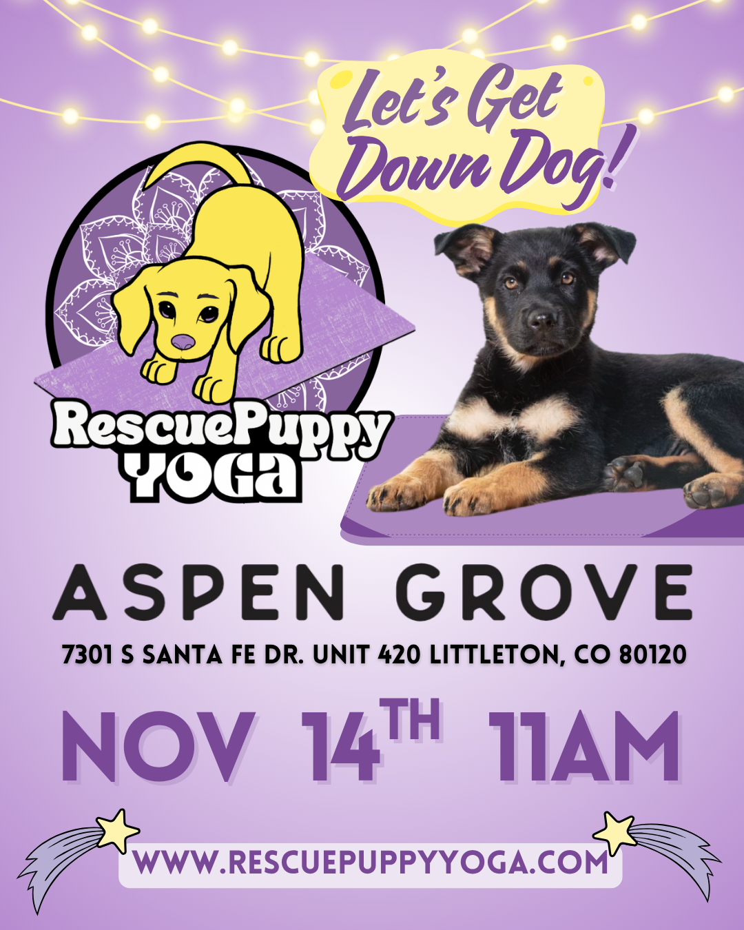 Rescue Puppy Yoga - Aspen Grove Littleton