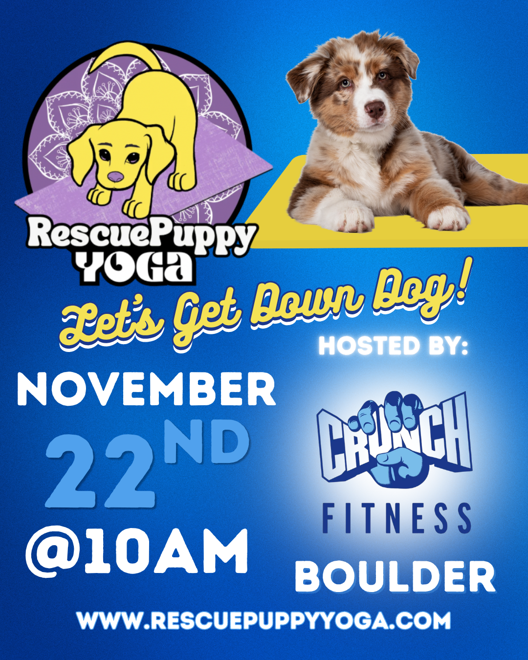 Rescue Puppy Yoga - Crunch Boulder