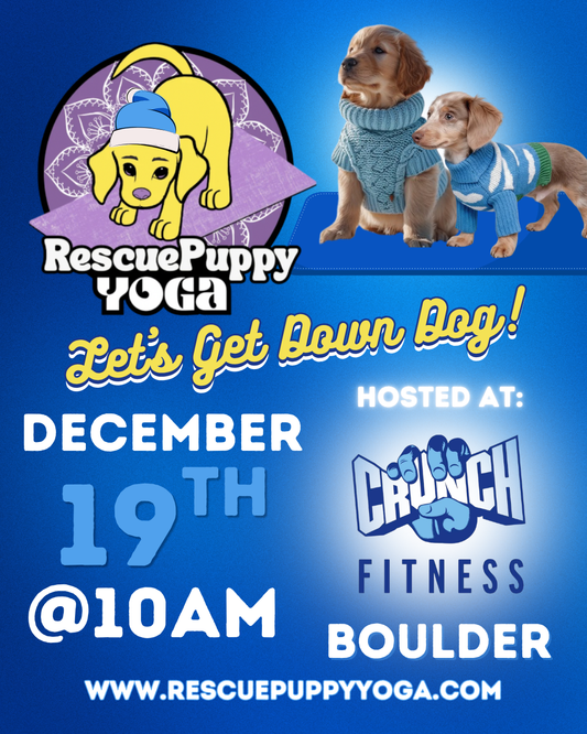 Rescue Puppy Yoga - Crunch Boulder