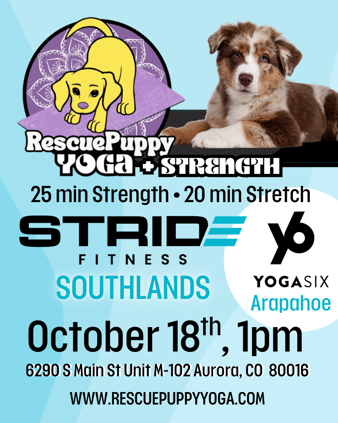 Rescue Puppy Strength & Stretch @ STRIDE Southlands with YogaSix Arapahoe
