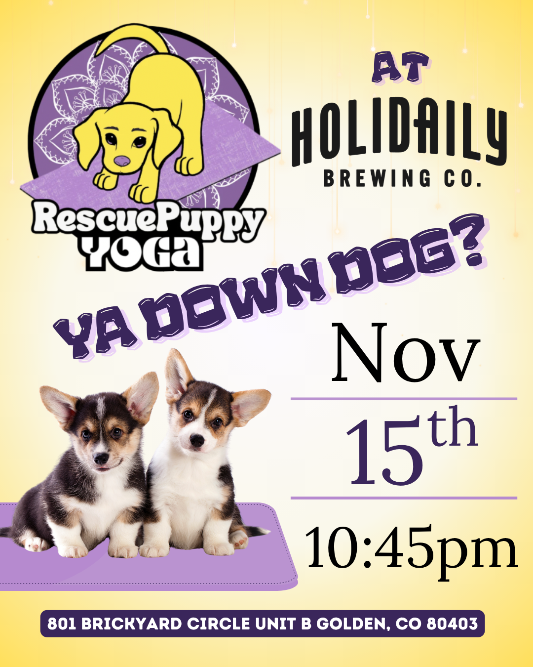 Rescue Puppy Yoga - Holidaily Brewing