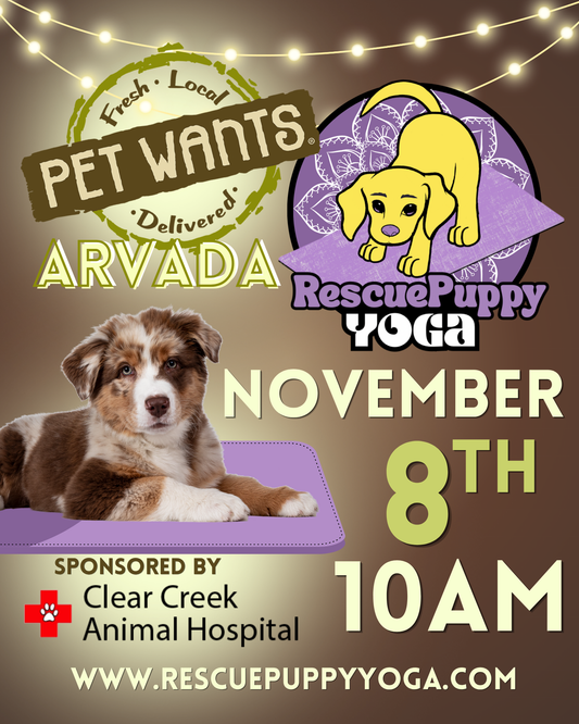 Rescue Puppy Yoga - Pet Wants Arvada
