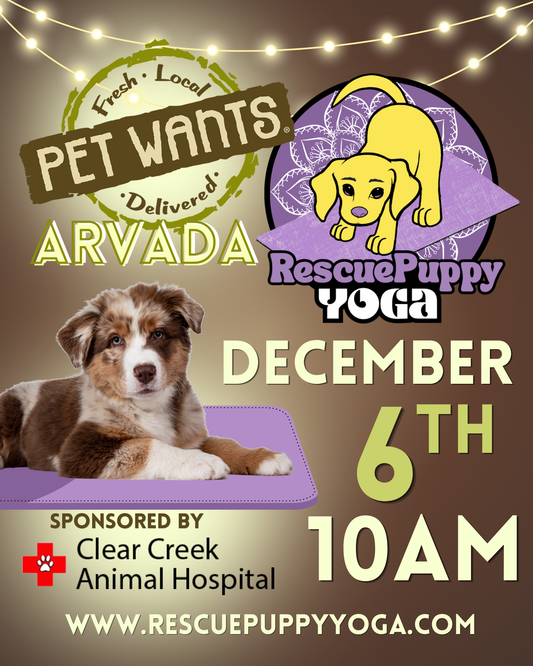 Rescue Puppy Yoga - Pet Wants Arvada