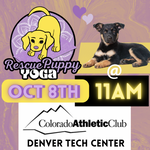 Rescue Puppy Yoga - Colorado Athletic Club Denver Tech Center