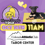 Rescue Puppy Yoga - Colorado Athletic Club Tabor Center