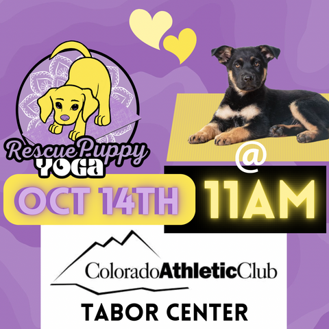 Rescue Puppy Yoga - Colorado Athletic Club Tabor Center