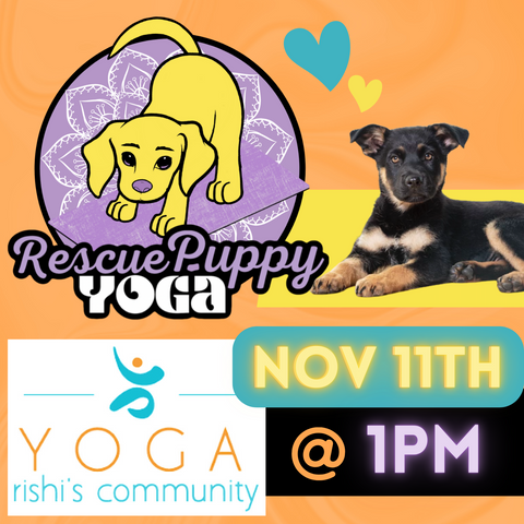 Rescue Puppy Yoga - Rishi’s Community Yoga 1pm