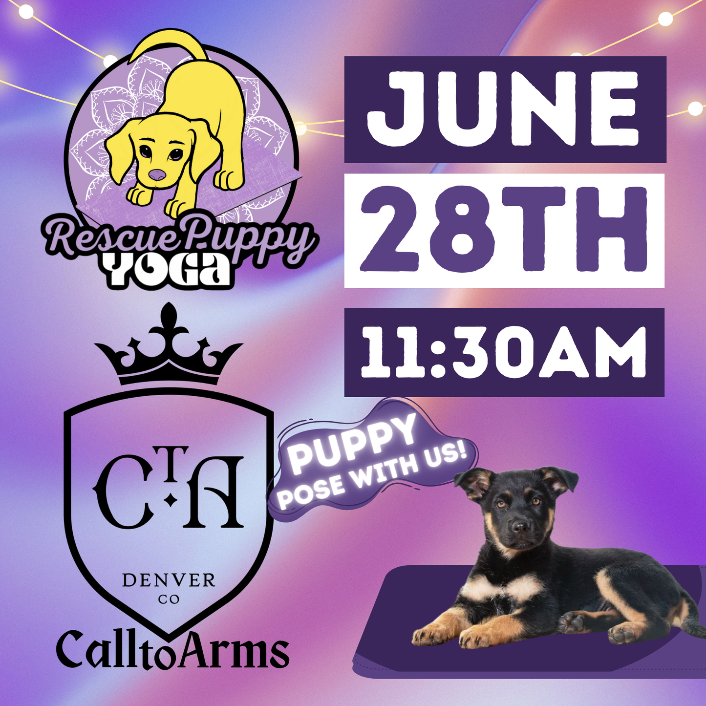 Rescue Puppy Yoga - Call to Arms Brewing Co.