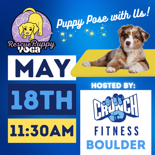 Rescue Puppy Yoga - Crunch Boulder