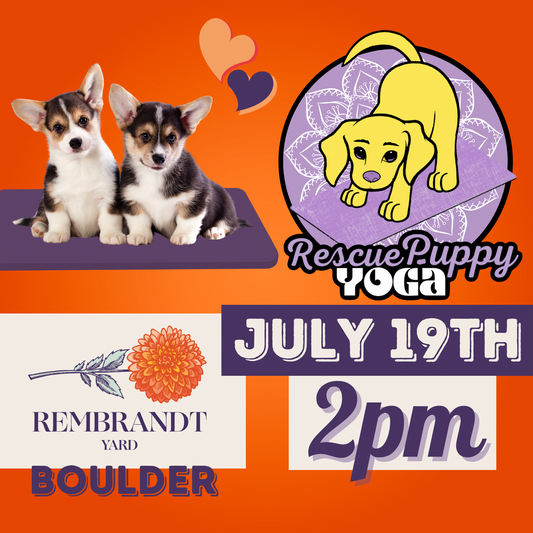 Rescue Puppy Yoga - Rembrandt Yard Boulder