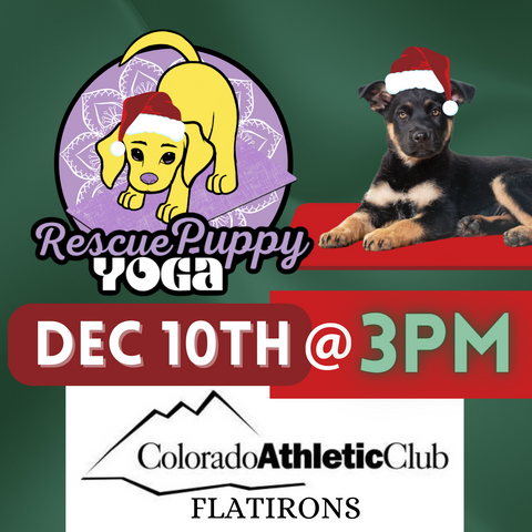 Rescue Puppy Yoga - Colorado Athletic Club Flatirons