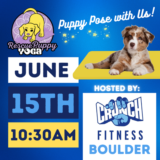 Rescue Puppy Yoga - Crunch Boulder