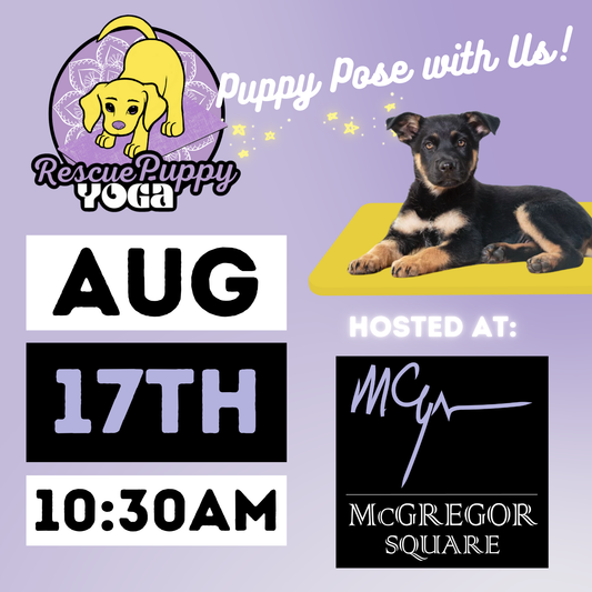Rescue Puppy Yoga - McGregor Square