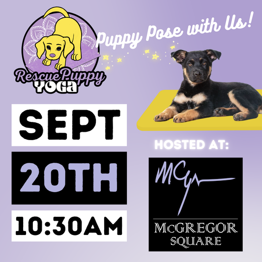 Rescue Puppy Yoga - McGregor Square