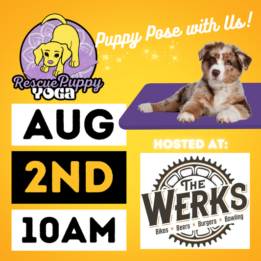 Rescue Puppy Yoga - The Werks