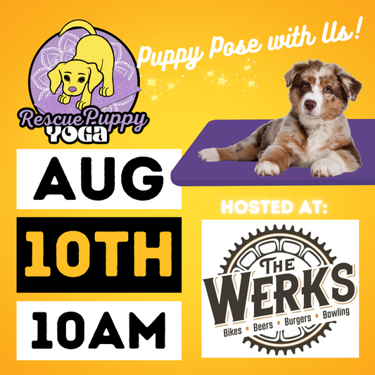 Rescue Puppy Yoga - The Werks