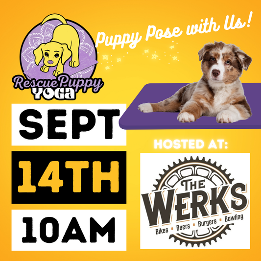 Rescue Puppy Yoga - The Werks
