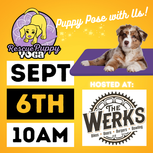 Rescue Puppy Yoga - The Werks