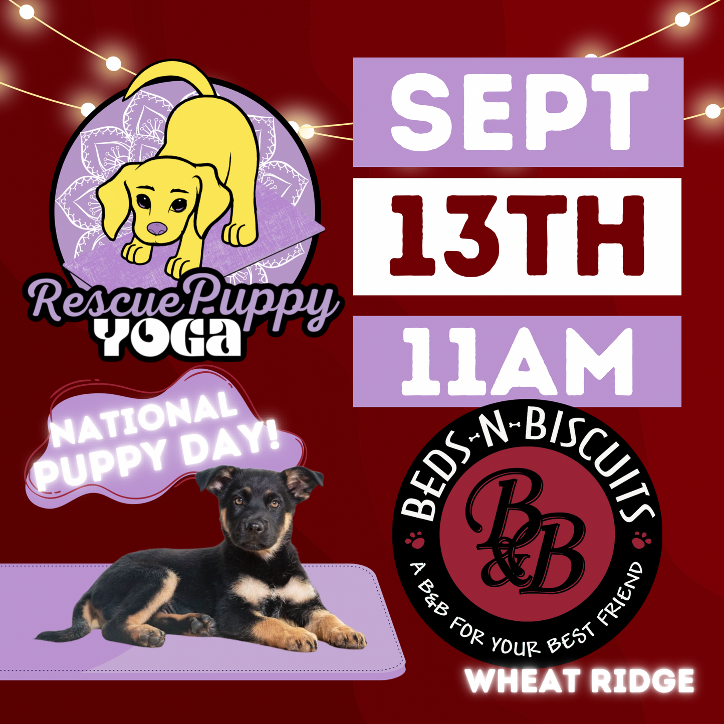 Rescue Puppy Yoga - Beds-N-Biscuits