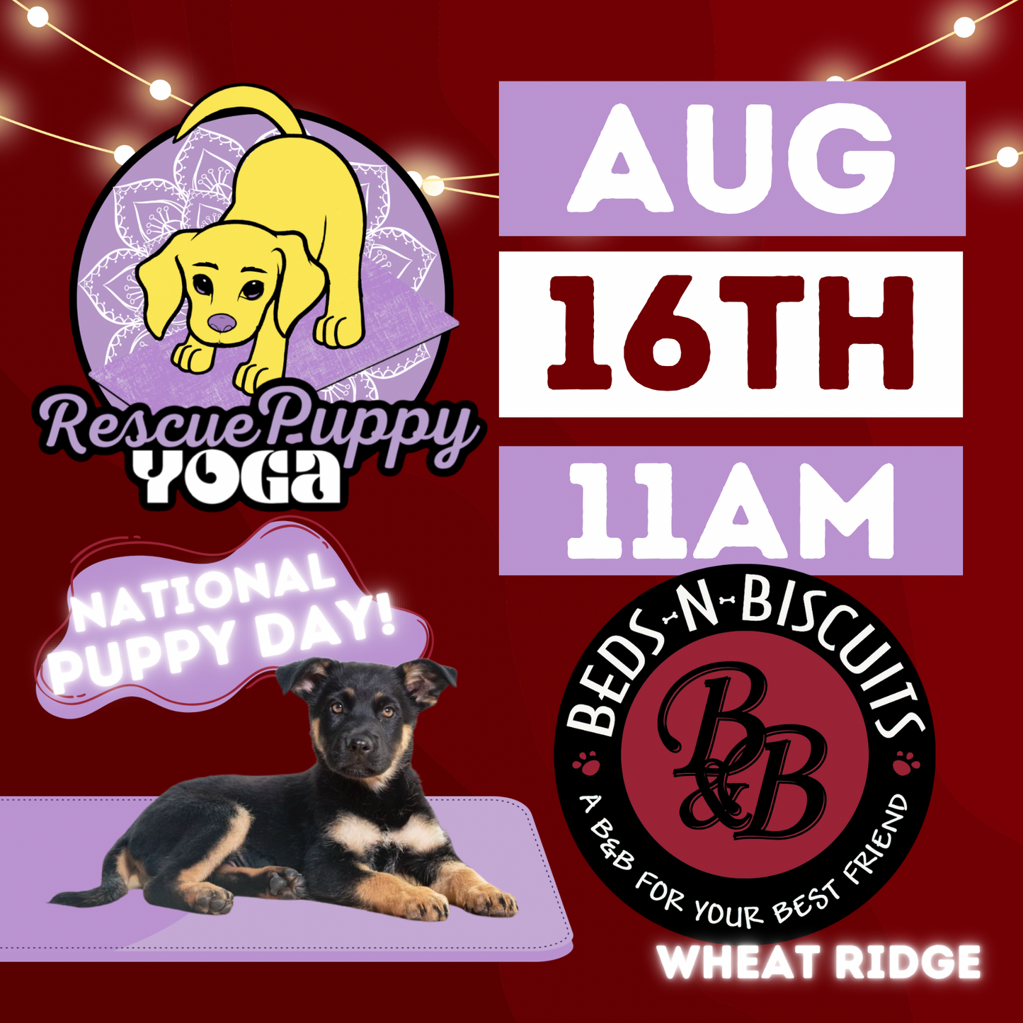 Rescue Puppy Yoga - Beds-N-Biscuits
