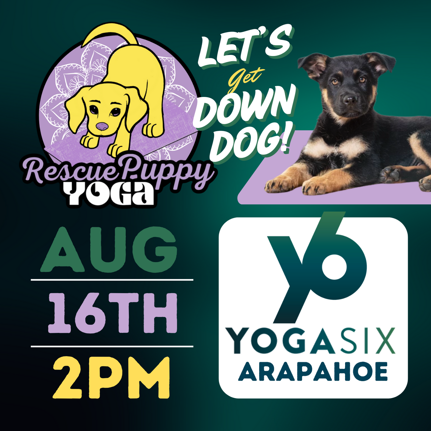 Rescue Puppy Yoga - YogaSix Arapahoe