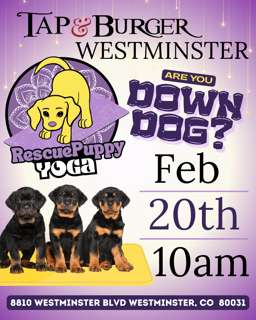 Rescue Puppy Yoga - Tap & Burger Westminster