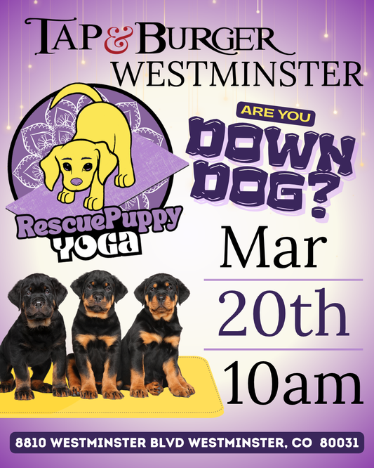 Rescue Puppy Yoga - Tap & Burger Westminster