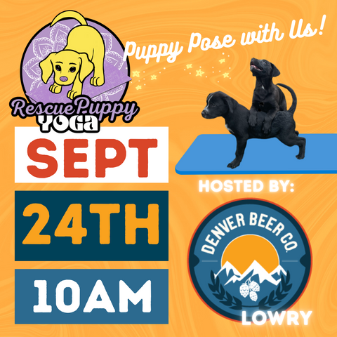 Rescue Puppy Yoga - Denver Beer Co. Lowry
