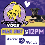 Rescue Puppy Yoga - Barber Nichols *Private Link*